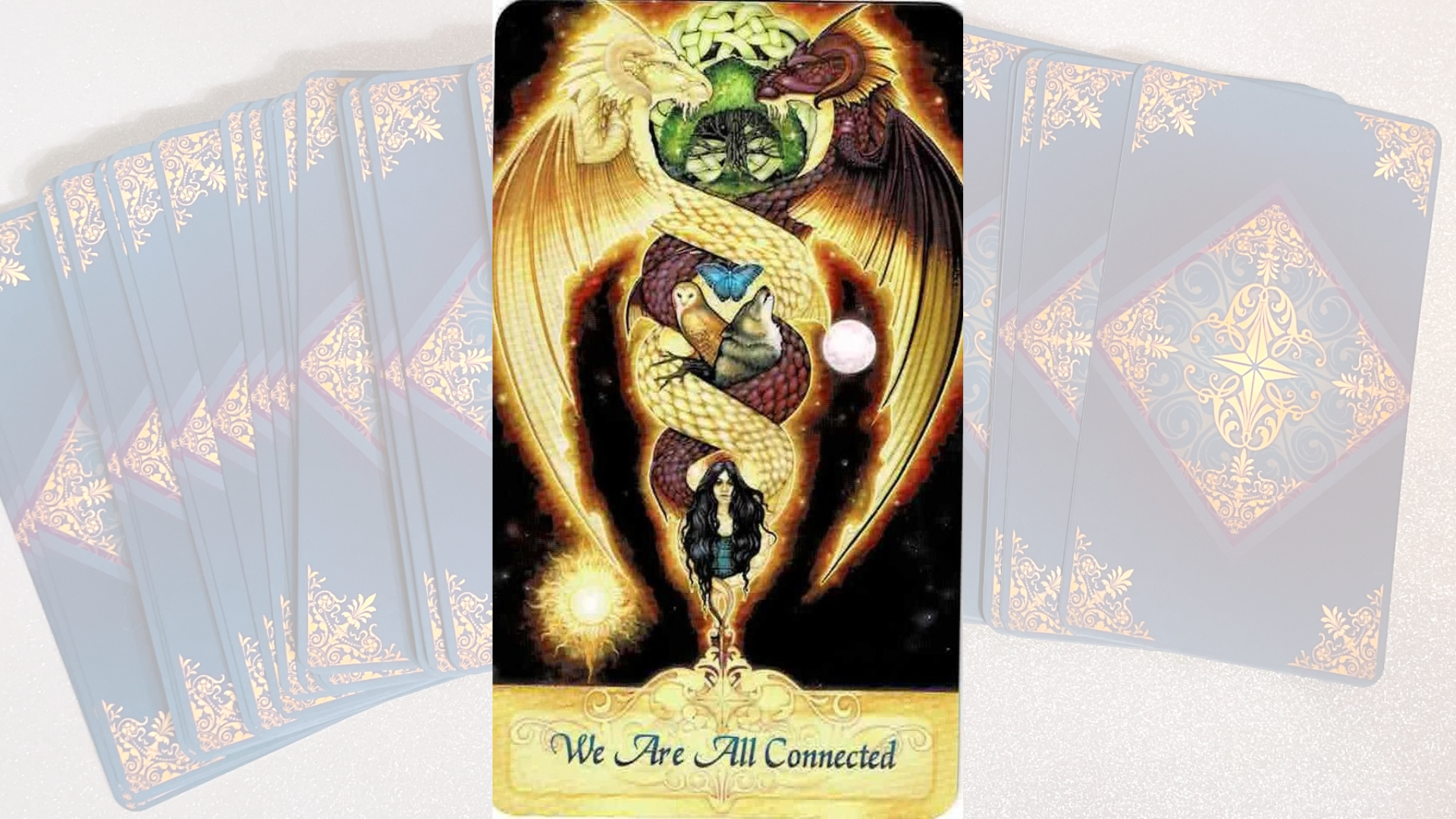 Read more about the article Messenger Oracle: We Are All Connected