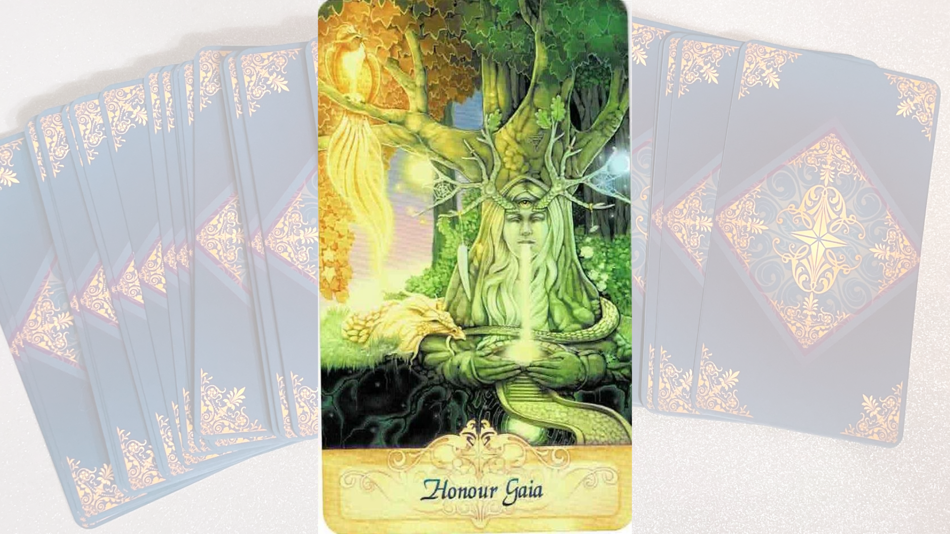 Read more about the article Messenger Oracle Reading: Honor Gaia